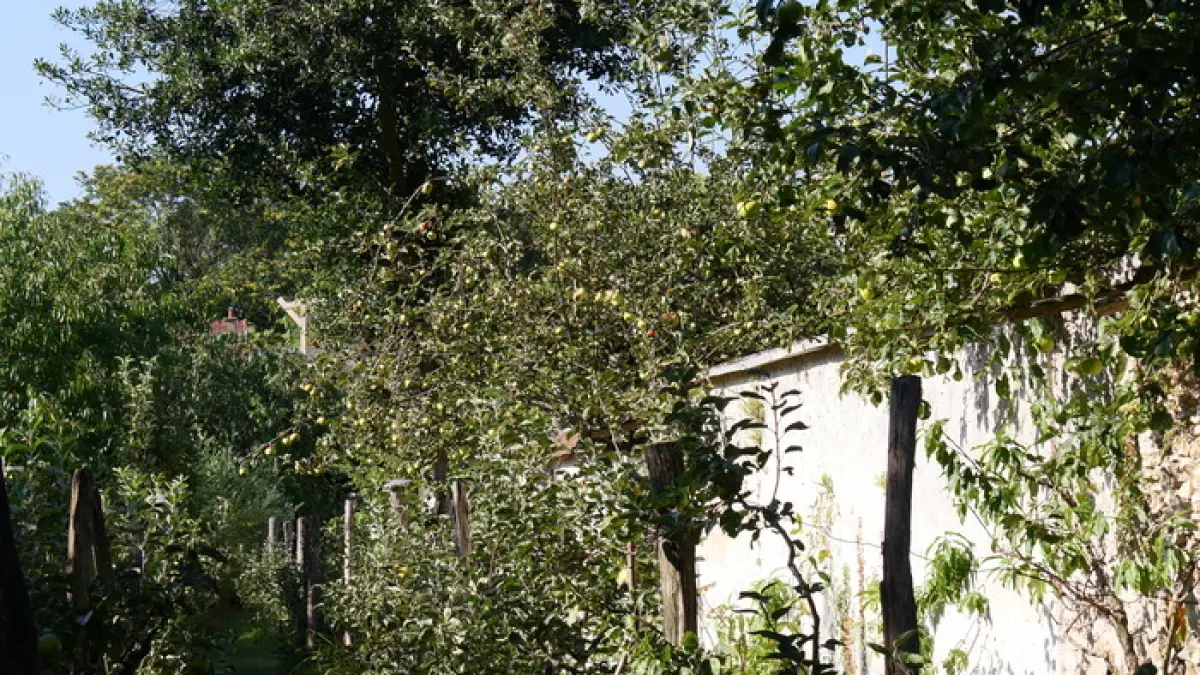 Visite des Jardins des Murs à Pêches