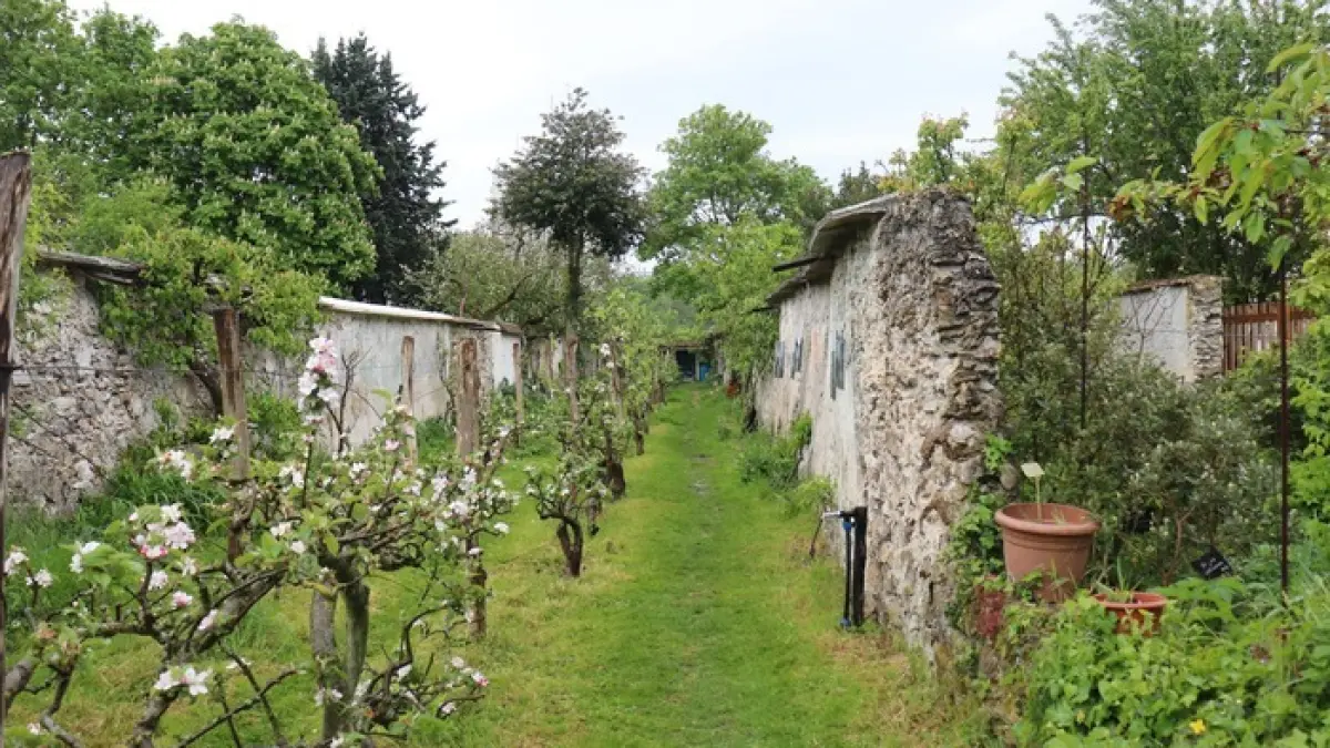 Visite Guidé des Murs à Pêches