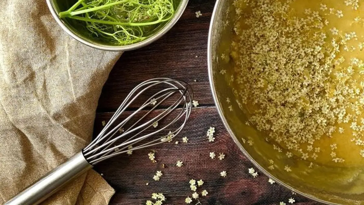 Atelier de cuisine végétale