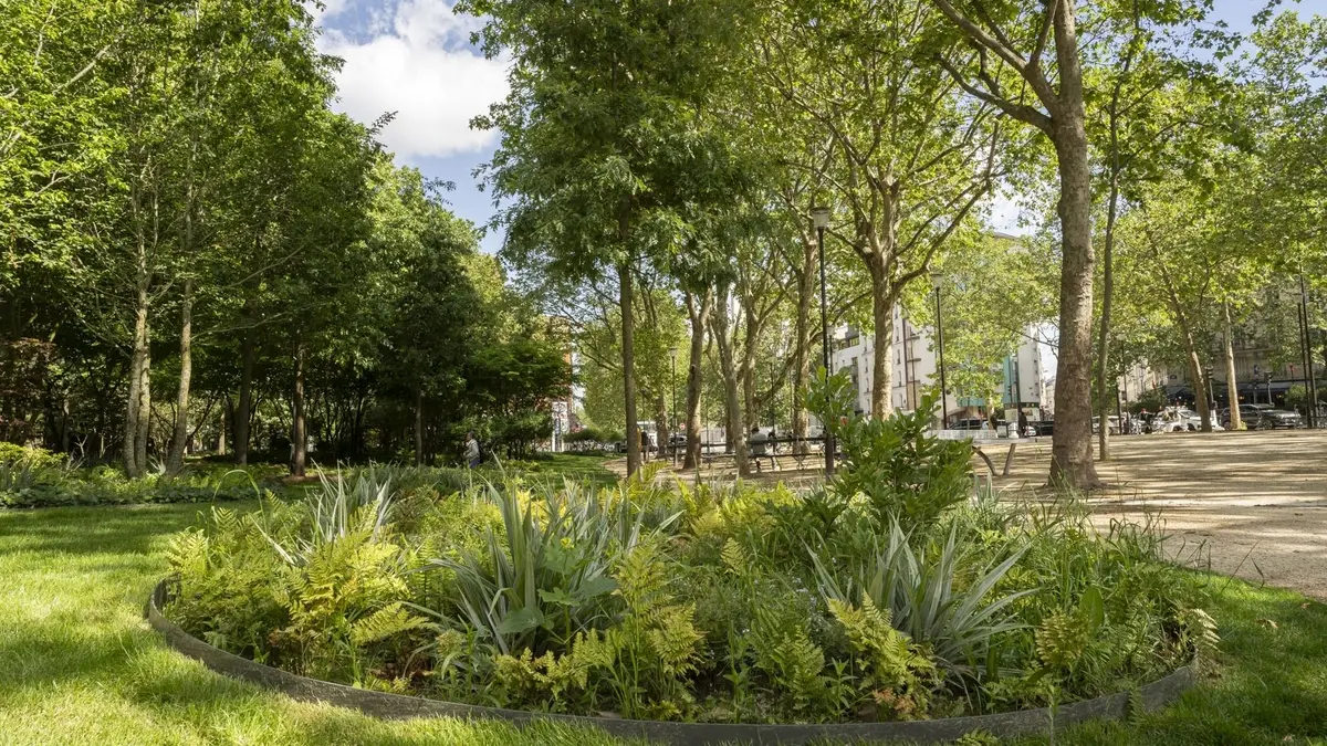 Visite La place du Colonel Fabien devient une forêt urbaine