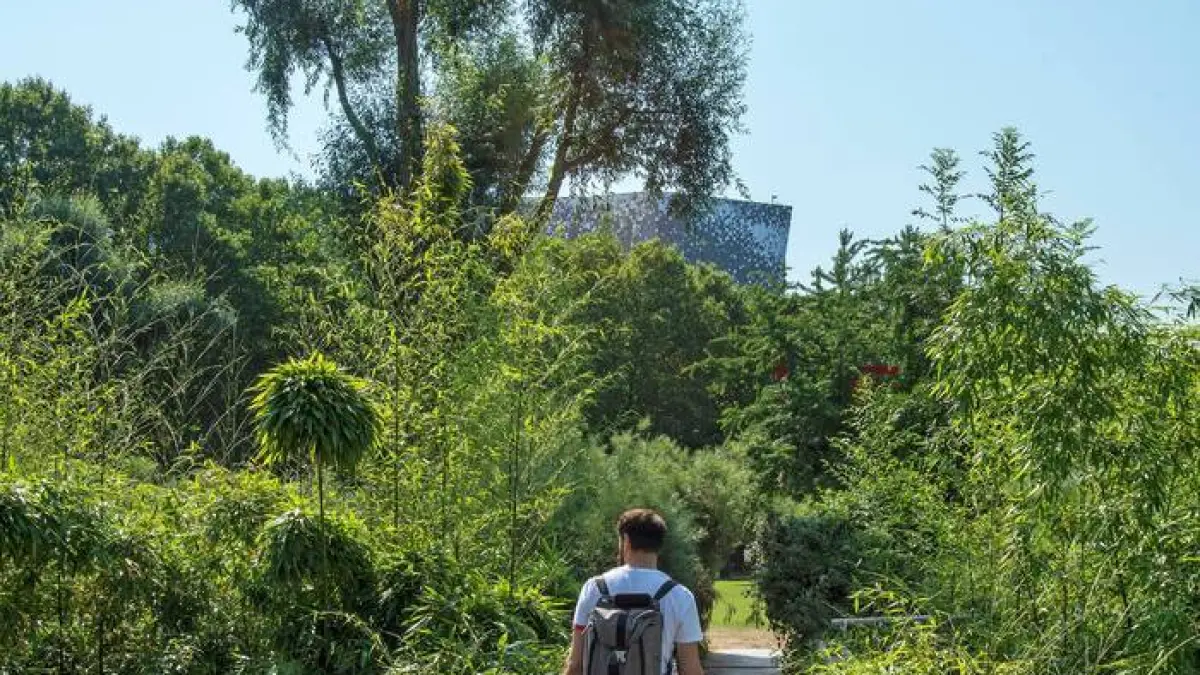 Visite de La Villette au canal Saint-Denis
