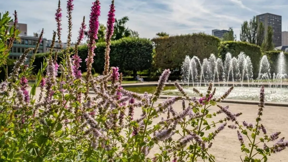 Visite du parc de Choisy au square de la Raffinerie Say