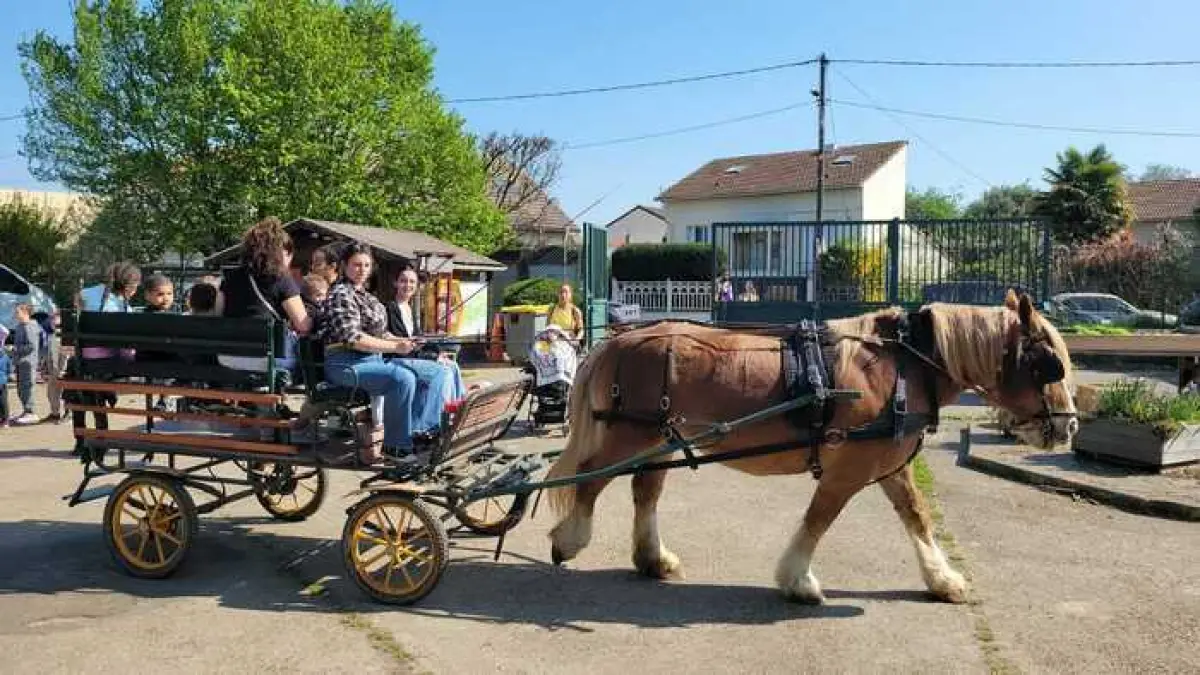 Visite guidée en calèche