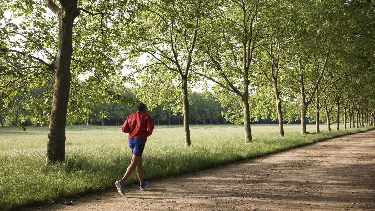 2ème édition du Viti-trail 10 km du Domaine viticole de Paris Gravelle