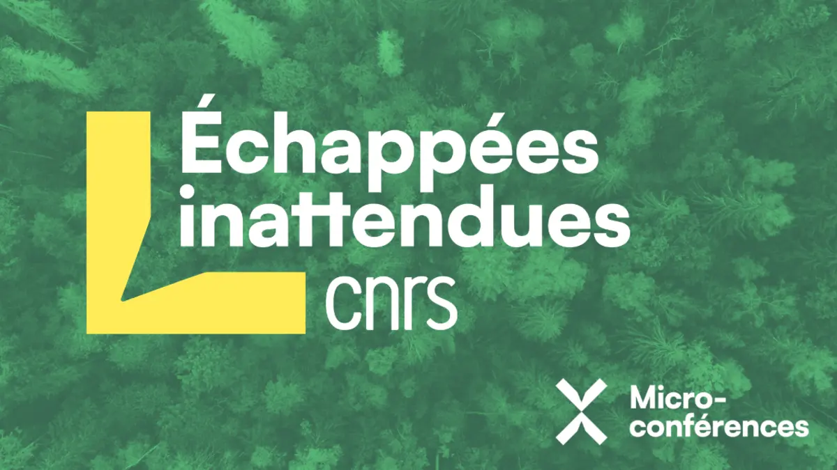 Echappées inattendues : la bioinspiration