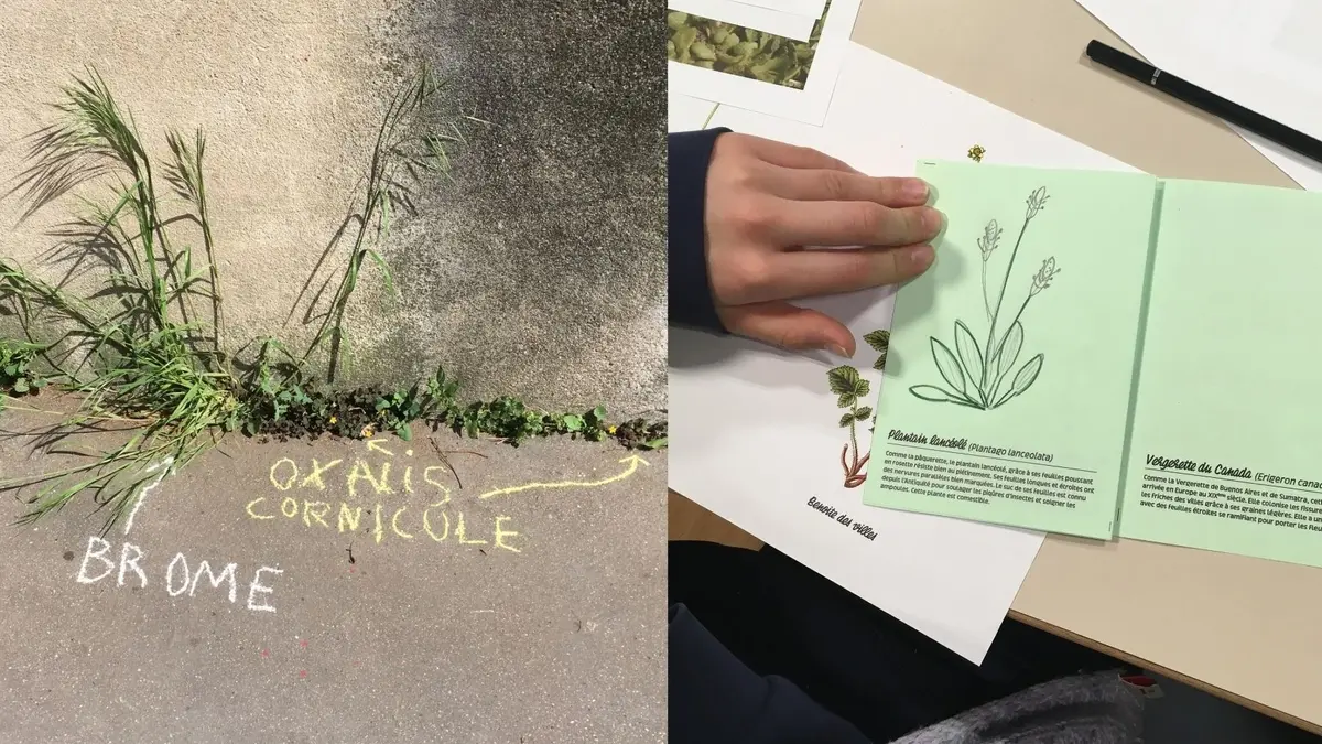 L'Automne de la Science à la Canopée : atelier de graffiti botanique