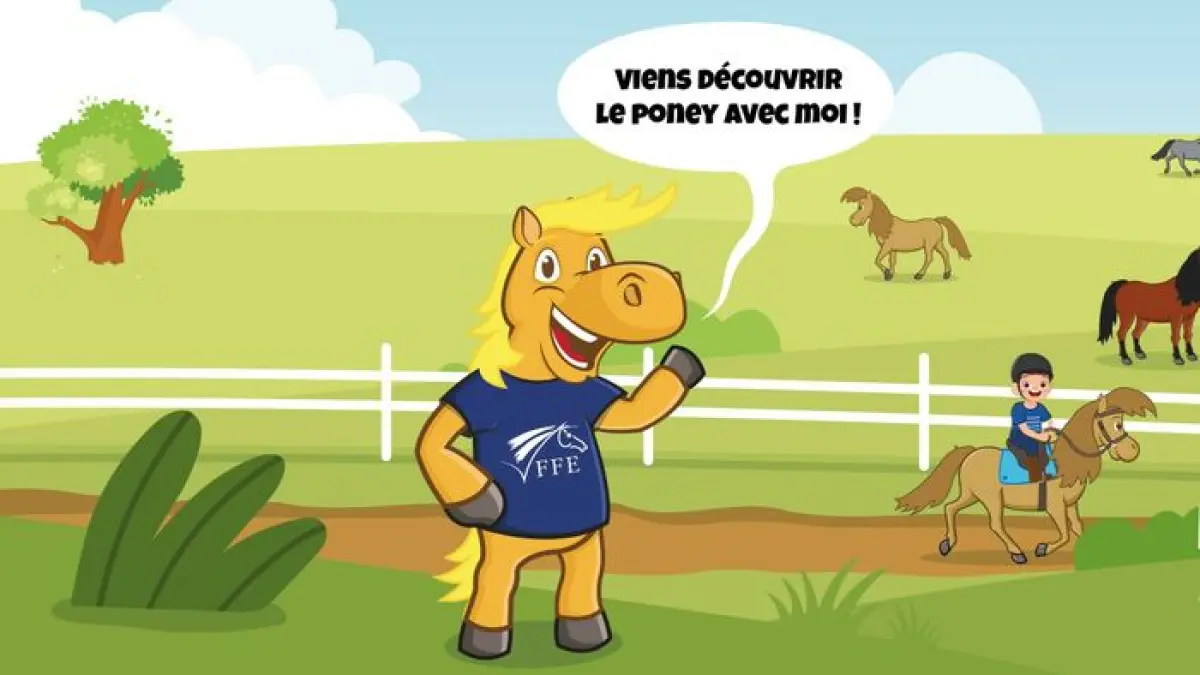 stage découverte du poney