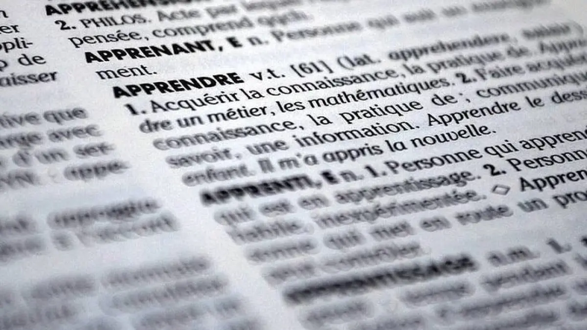 Français Langue Étrangère (FLE) - Développer son vocabulaire