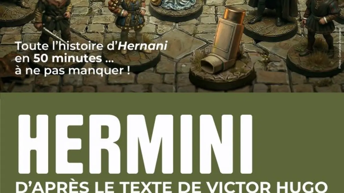 HerMINI