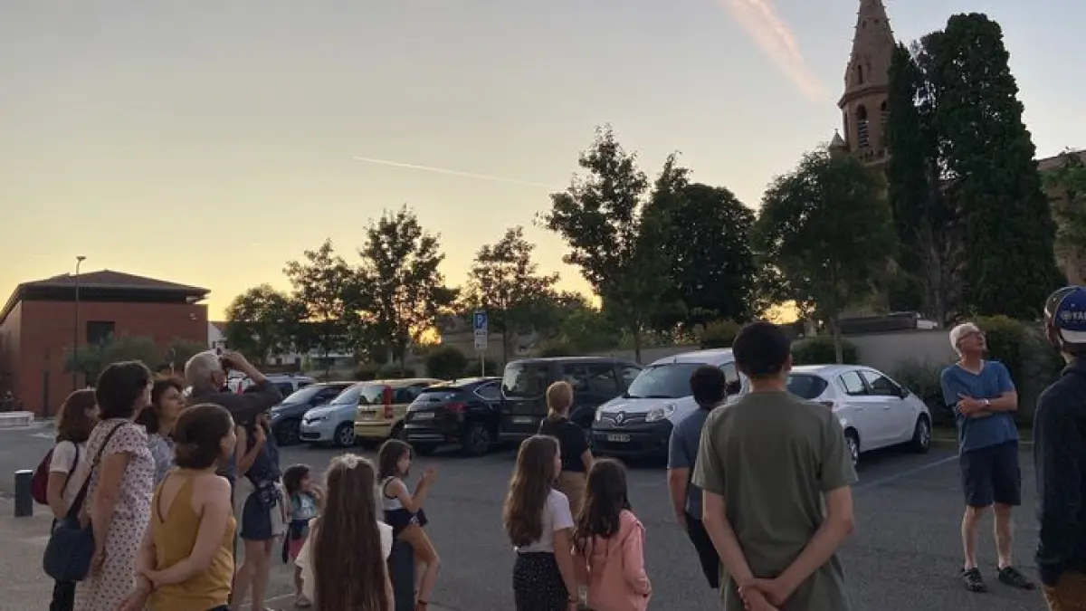 Balade au crépuscule, à la rencontre de la vie nocturne