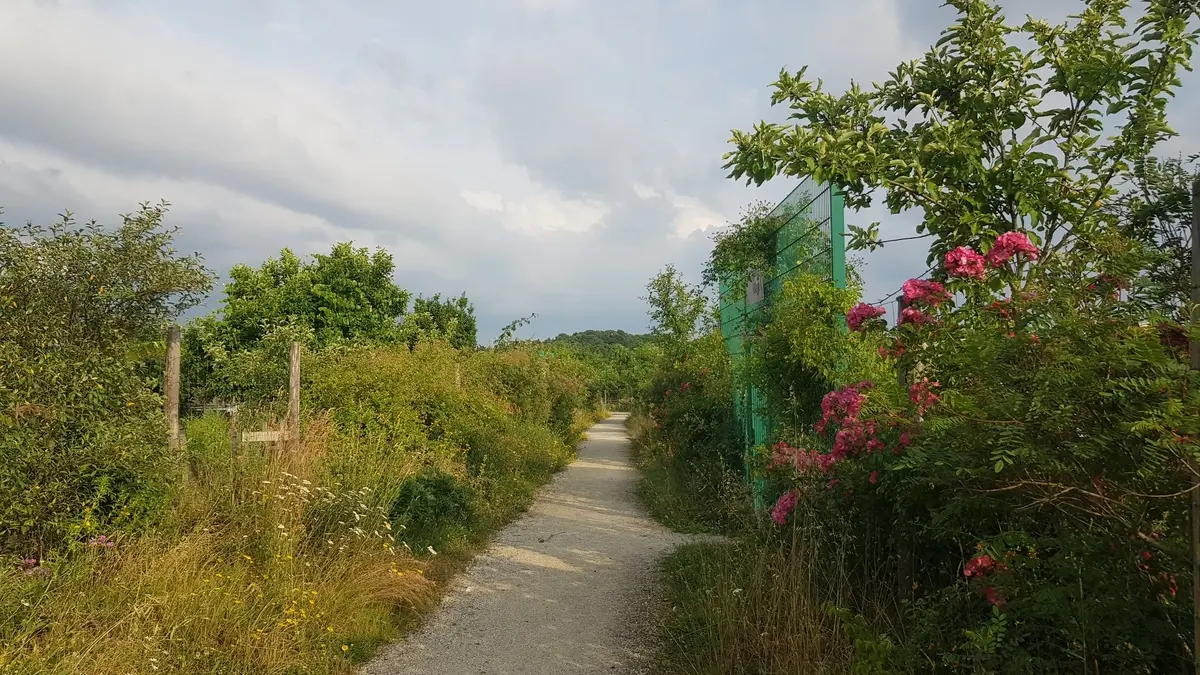 Visite guidée des jardins familiaux Les Arpents