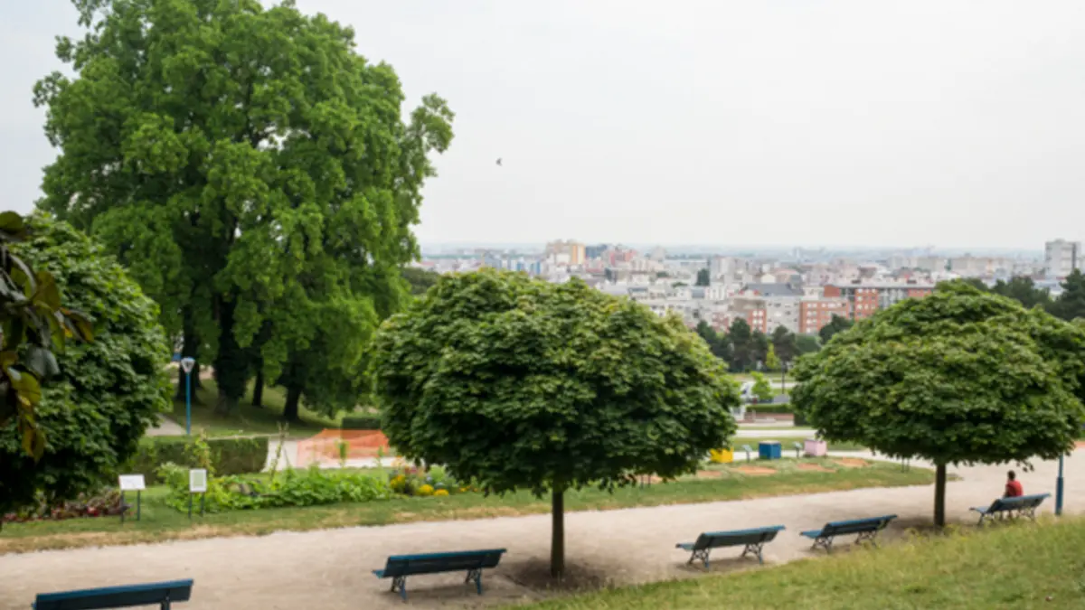 Visite guidée du Parc de la Butte du Chapeau Rouge
