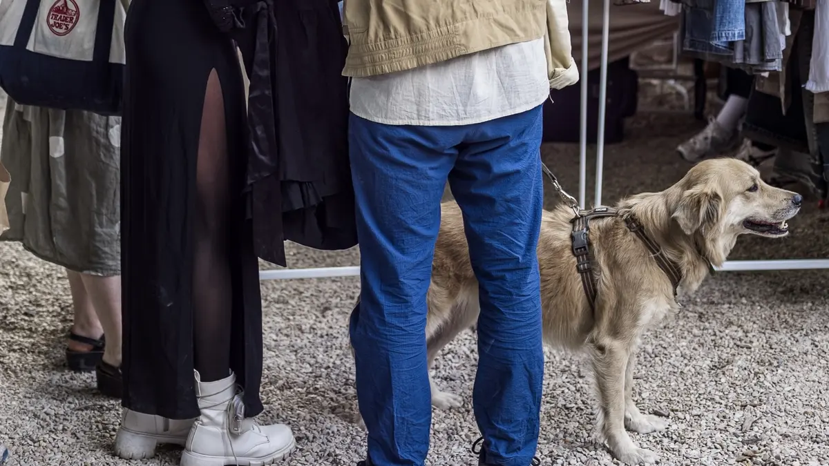 Terrain Vague : Dog Fest by Lump x Jardin21 ༯