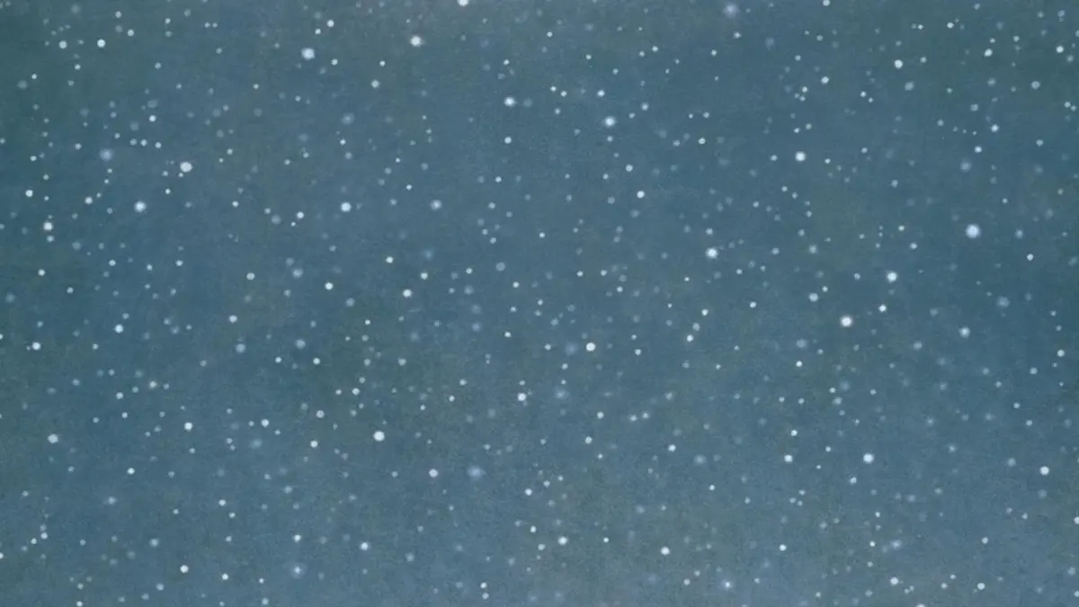 Contrepoint contemporain. Vija Celmins