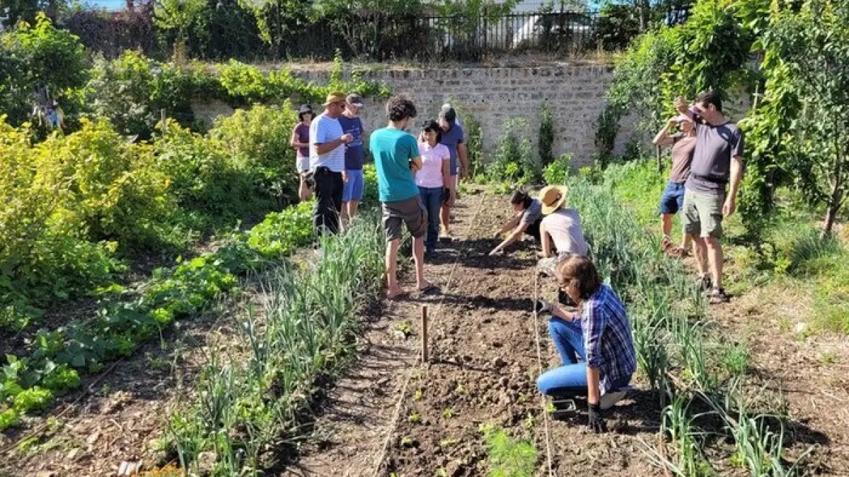 Initiation à la permaculture
