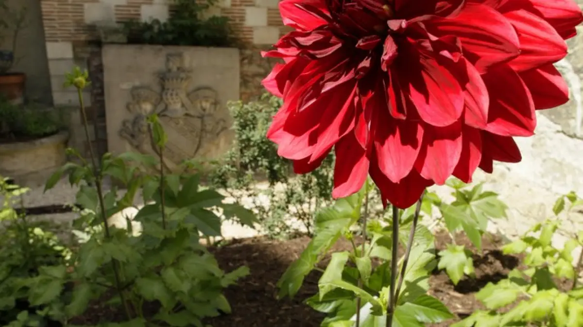 Jardin des Teinturiers