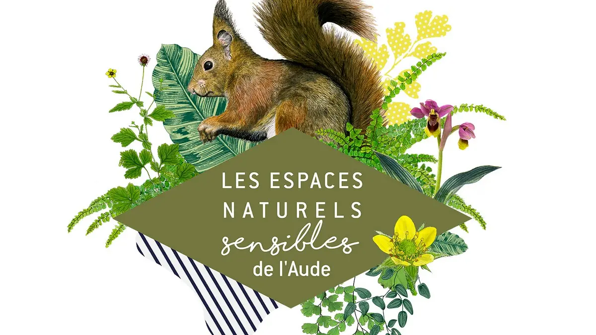ENS - UN PEU D'ASTRONOMIE NE NUIT PAS !