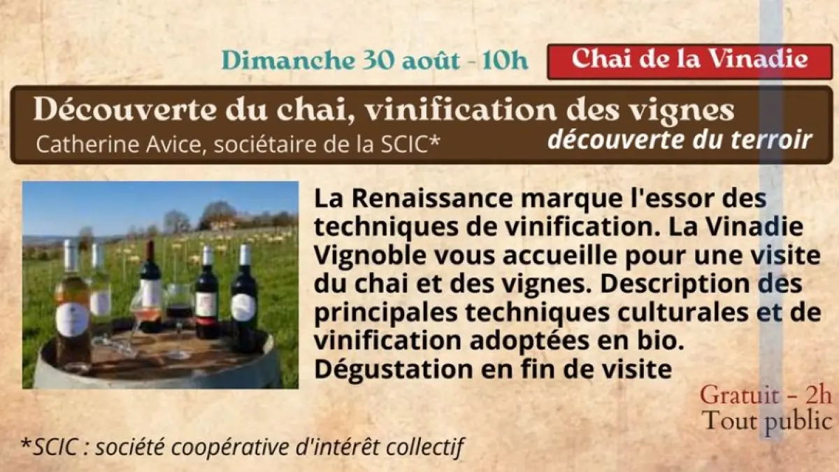 Festival Renaissance à Figeac : chai de la Vinadie, une découverte du terroir !