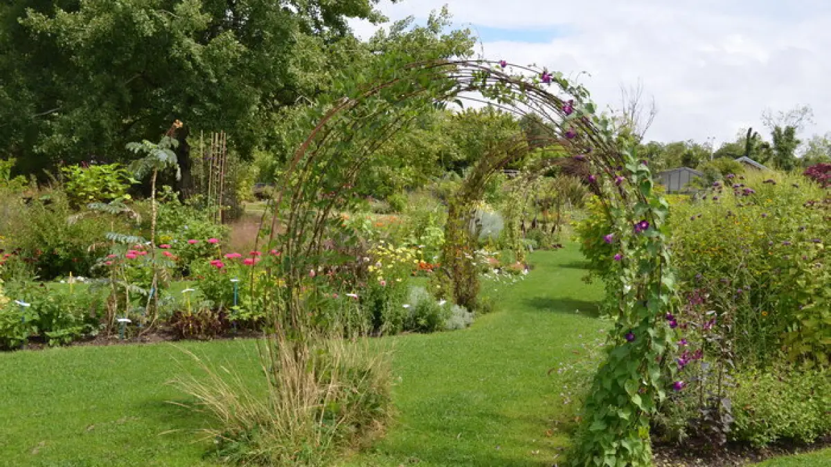 Découverte d'un jardin extraordinaire au cœur du bois de Vincennes