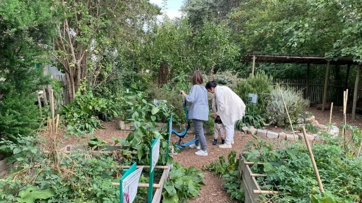 Visite libre du jardin pédagogique de l'Île de la Jatte