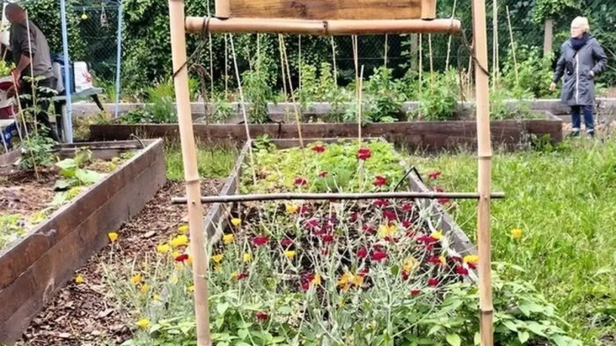 Portes ouvertes du jardin partagé Félicie Hervieu de Châtillon