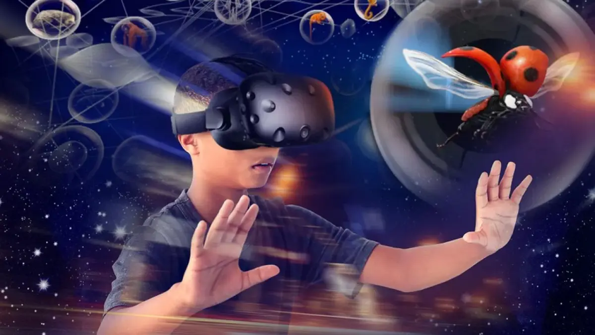 Séance VR : Voyage au cœur de l’évolution