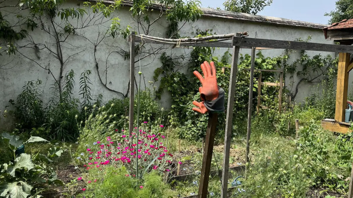 Ateliers de jardinage avec l'association de Culture(s) en Herbe(s)