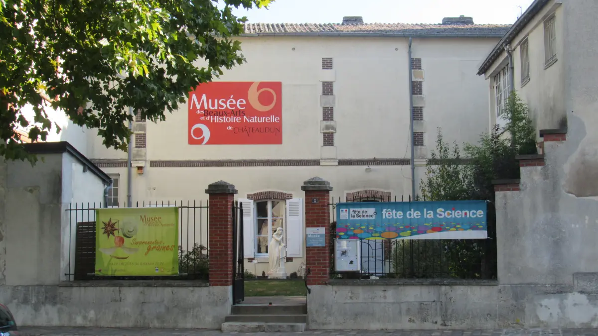 La face cachée du musée
