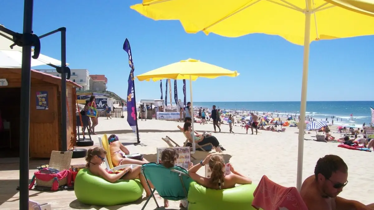 Bibliothèque vue sur mer