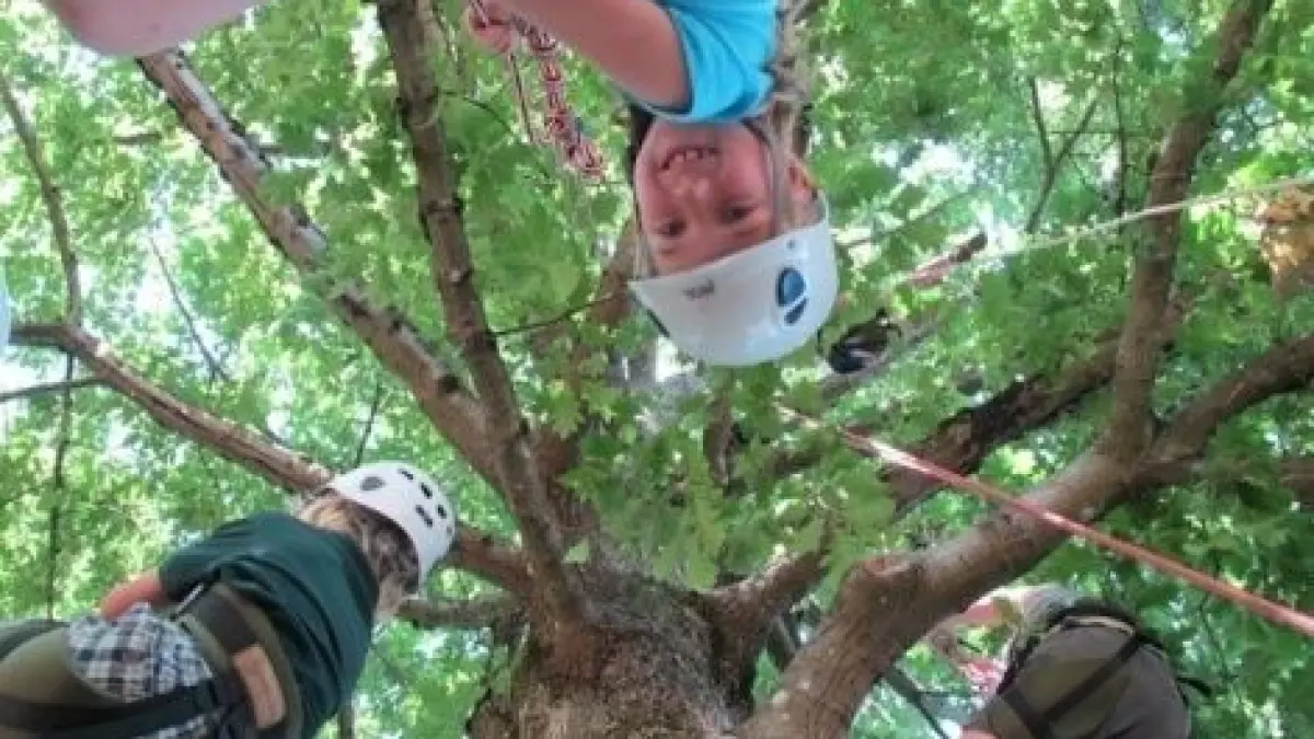 Grimpe d'arbres en forêt régionale de Rougeau : découverte du Footlock