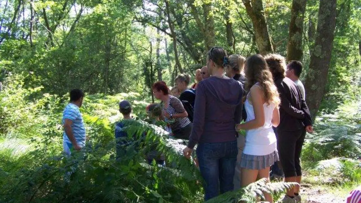 Annulé - Balade nature en forêt Landaise