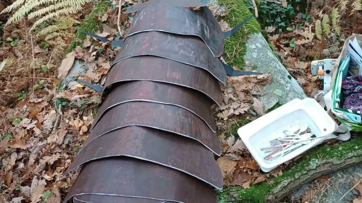 A la découverte des cloportes