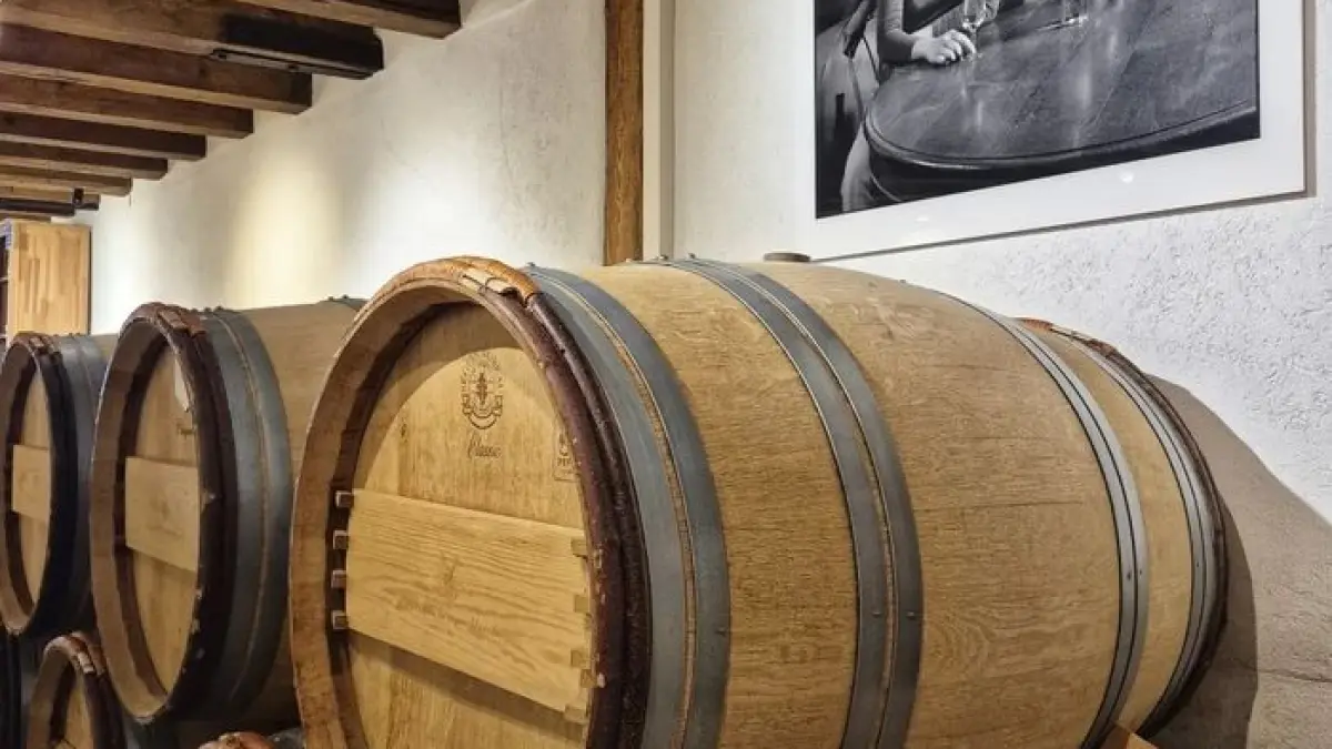 ESCAPADE VITICOLE : AU CŒUR DU TERROIR GENEVOIS