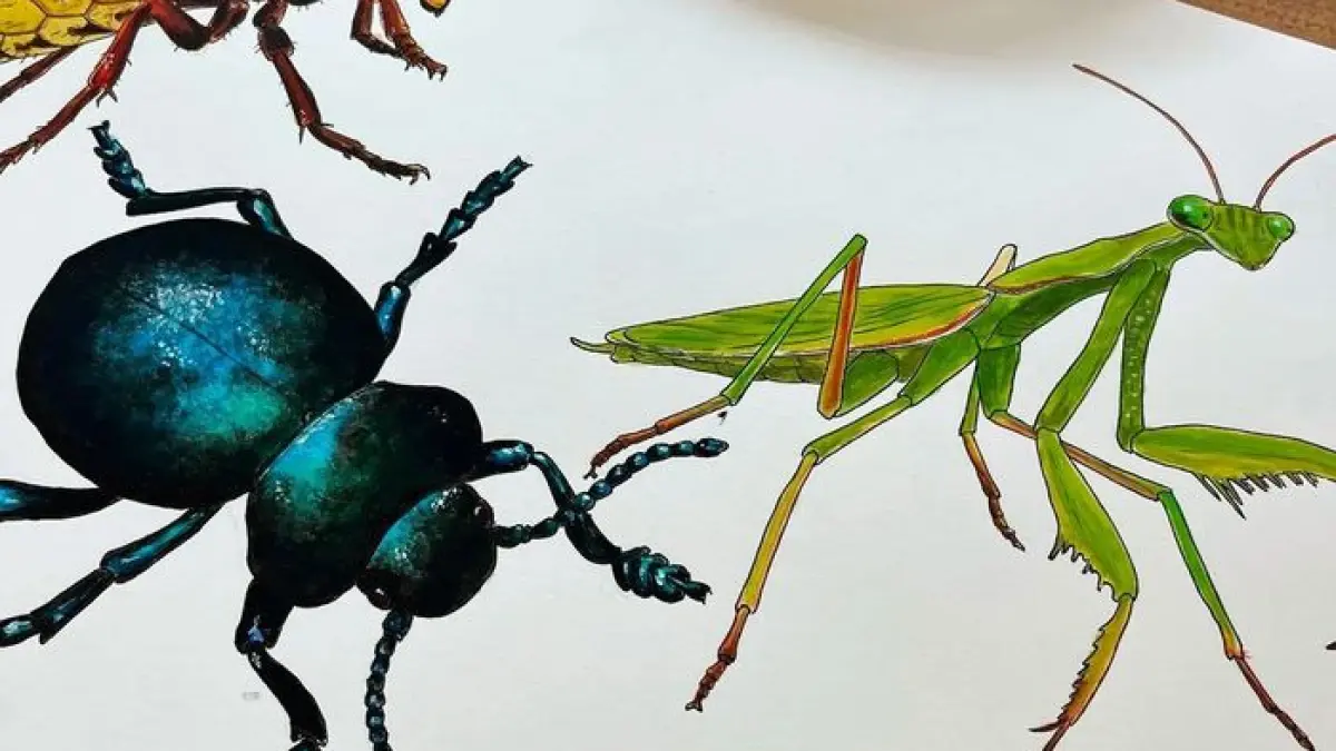 Des insectes entre les pages