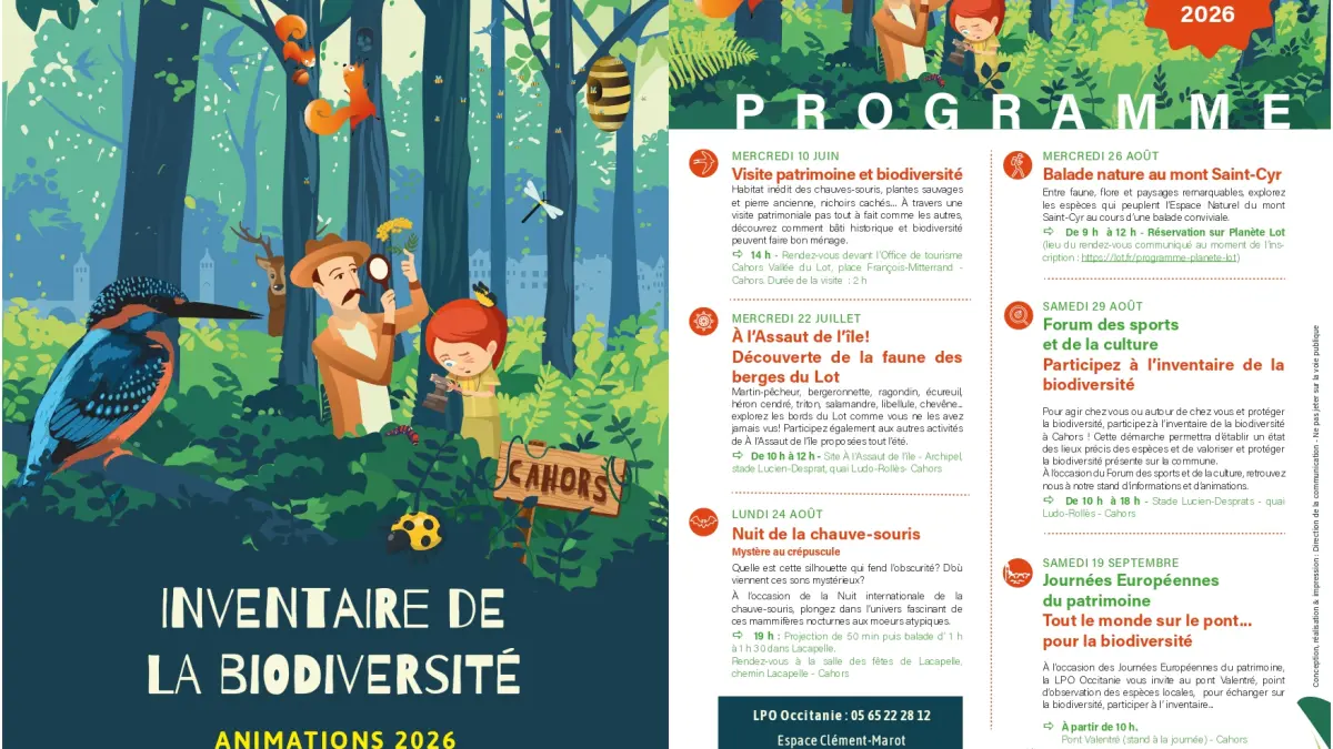 Nuit de la chauve-souris : projection et balade nocturne
