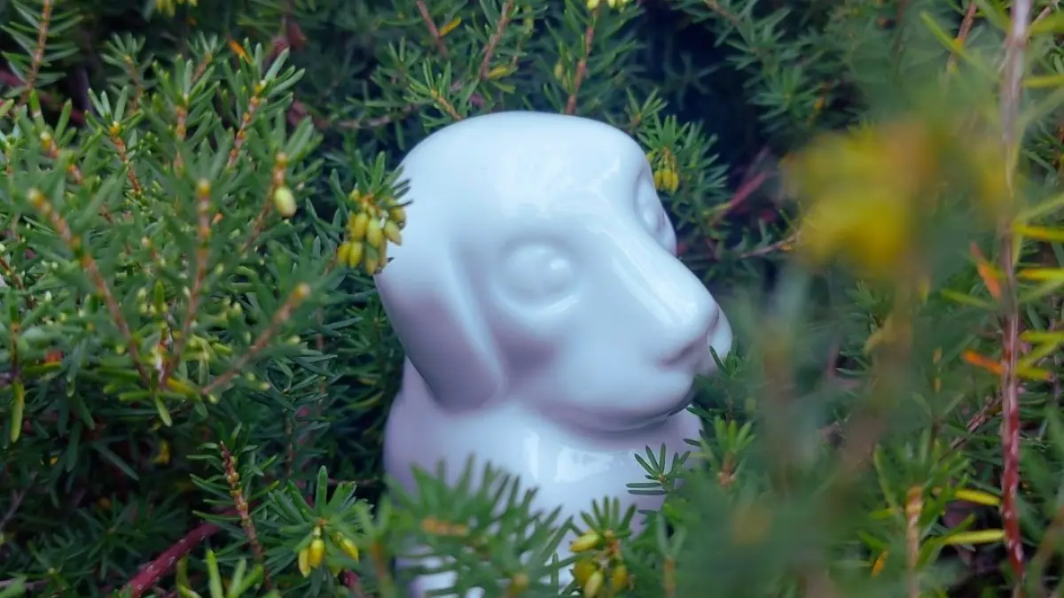 Mes premiers pas au musée - Mon merveilleux jardin de porcelaine