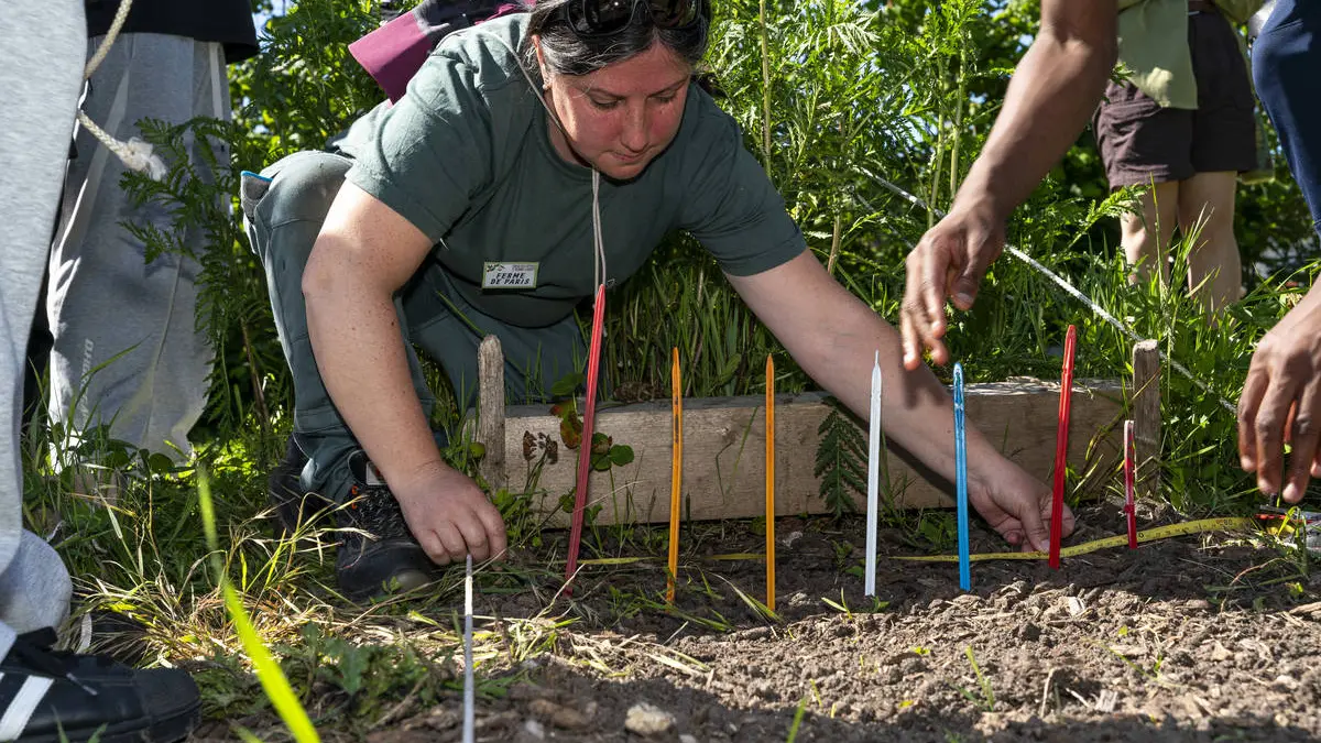 Chantier participatif à la Ferme de Paris