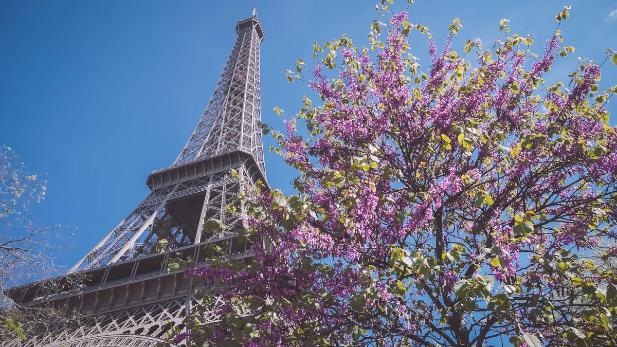 « Un grand terrain de jeux » : 135 ans d’exploits sportifs à la tour Eiffel