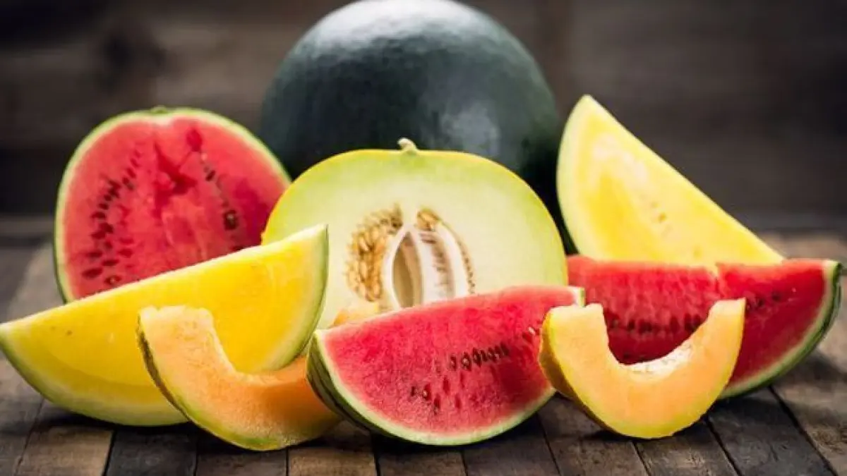 Atelier Ecole du goût : Miam’ melon et pastèques