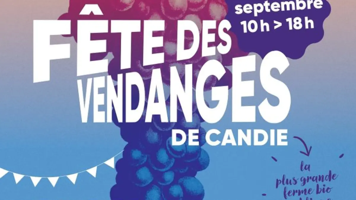 Tout public - Fête des vendanges - Stand