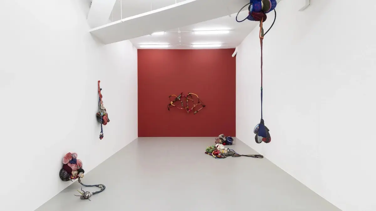 Cœur sauvage. Sonia Gomes