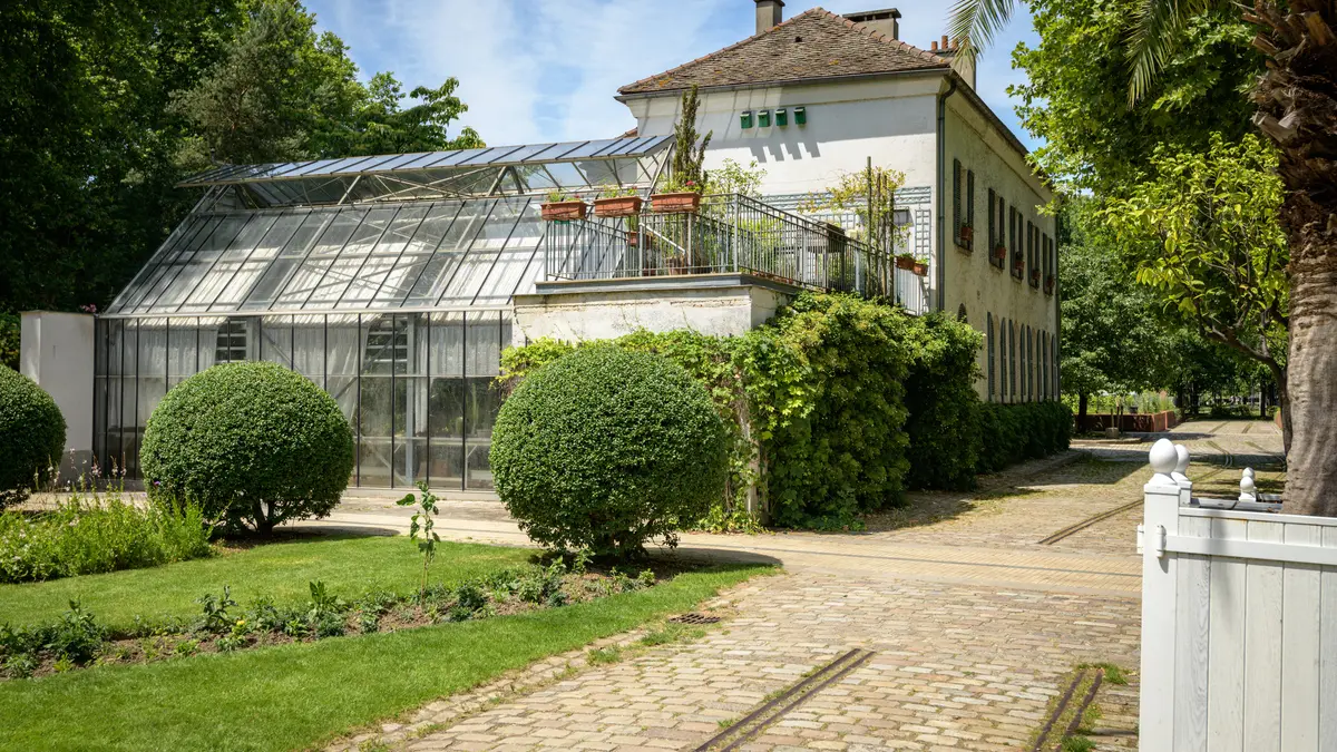 Visite de la serre et conseils pour vos plantes d'intérieur