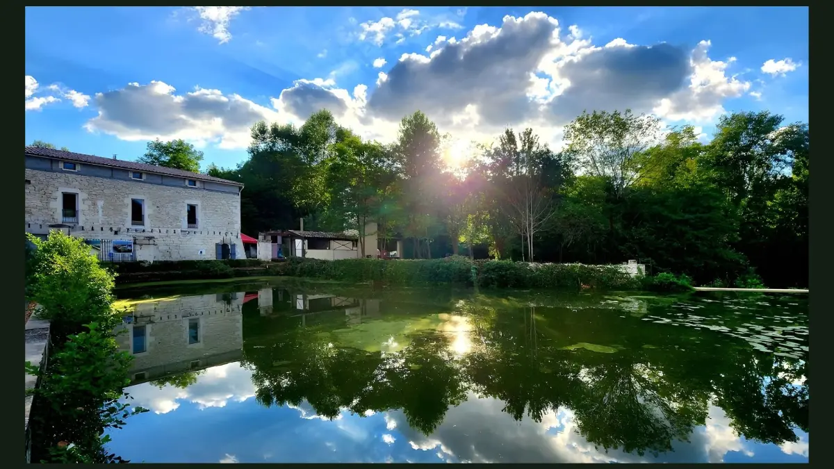 Les Vendredis Guinguette