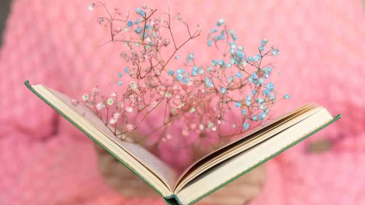 À livre ouvert