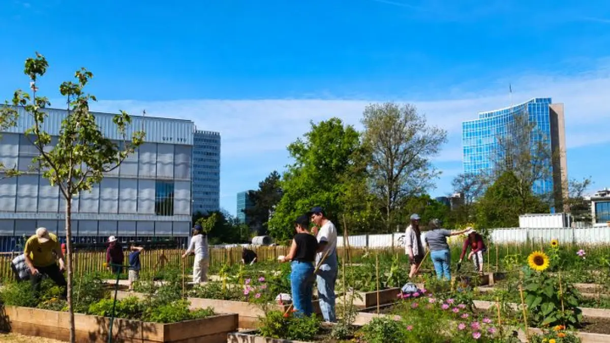Fête des récoltes des Nouveaux Jardins (EPER)🌻