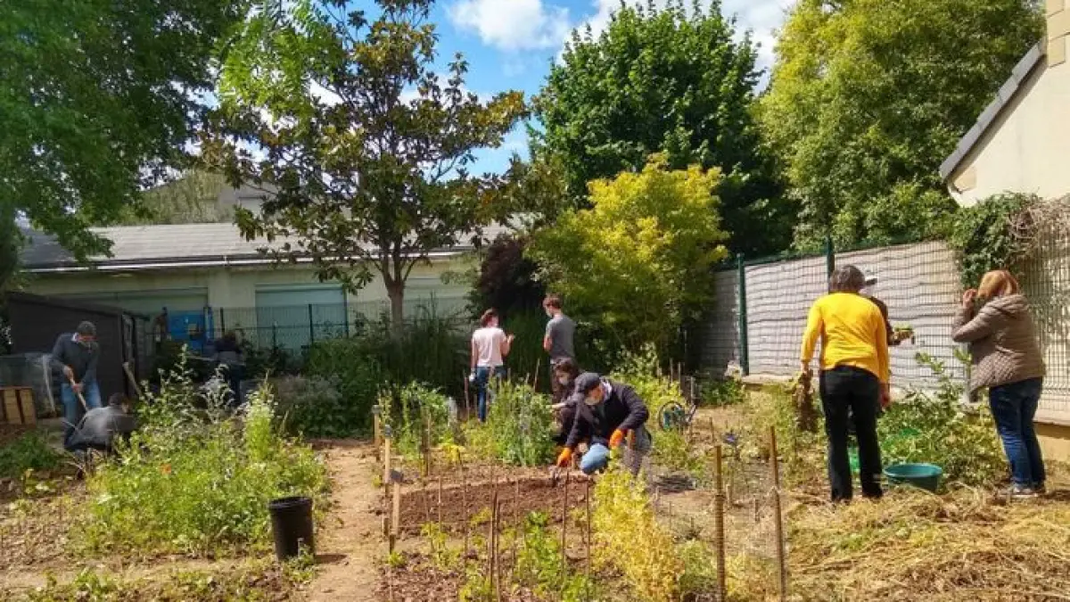 Atelier bouturage
