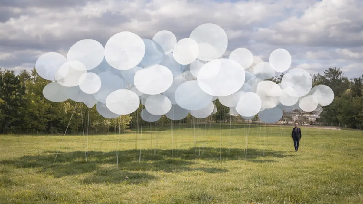 Installation artistique par Ilona Mikneviciute