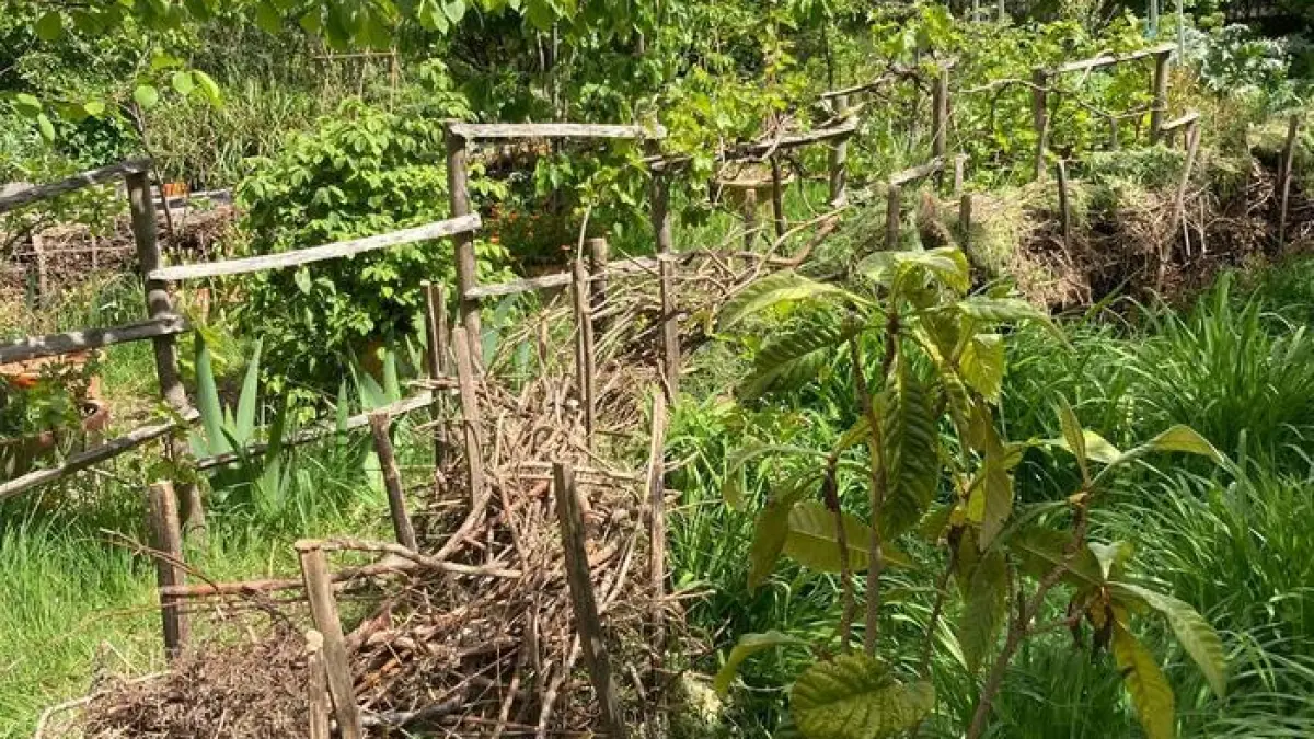 Découverte du Jardin partagé Ver Têtu