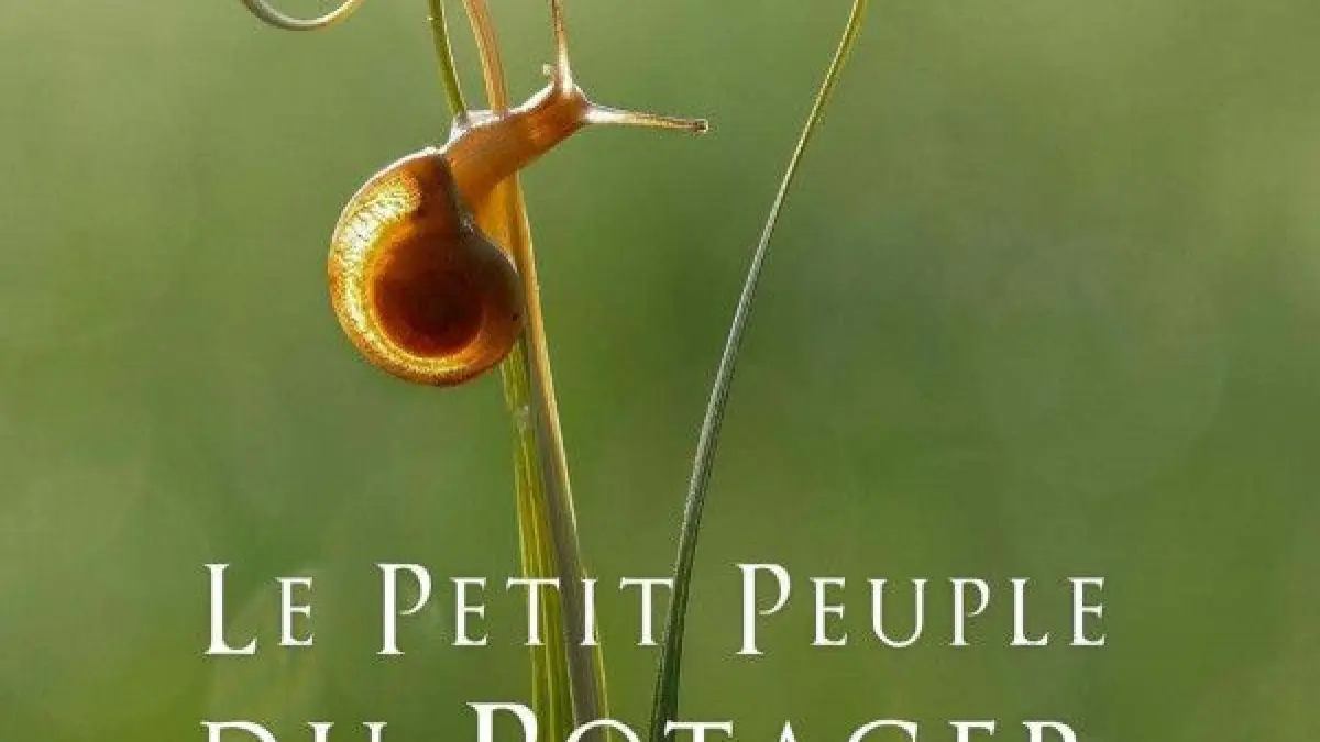 Le Petit Peuple du Potager, Les Alliés Du Vivant
