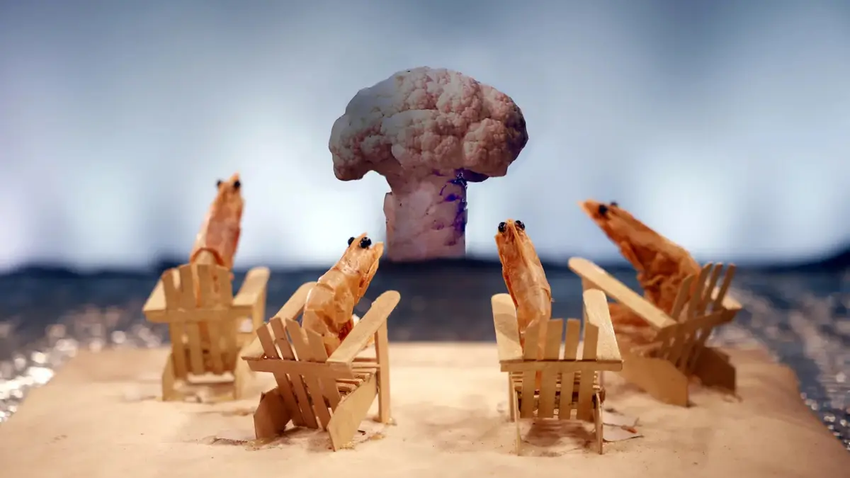 Histoires de crevettes